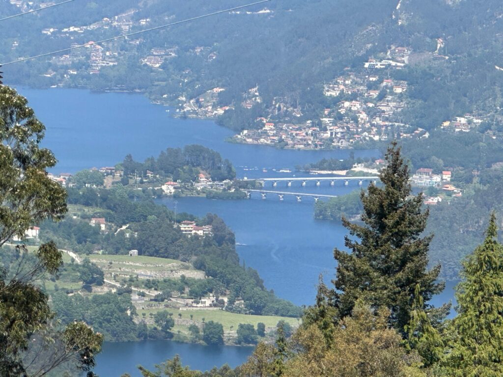 Villages and a river seen from above through pine trees